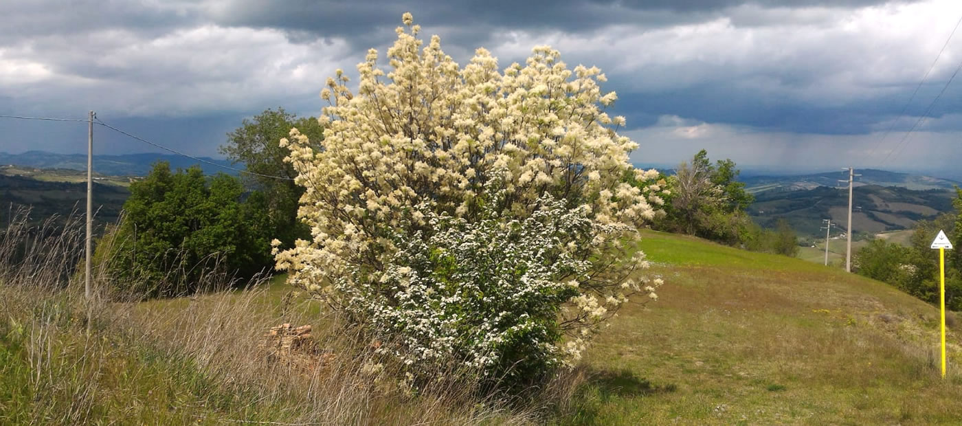 Mete in Appennino